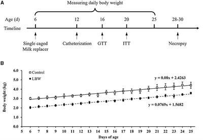 Insulin resistance and dyslipidemia in low-birth-weight goat kids